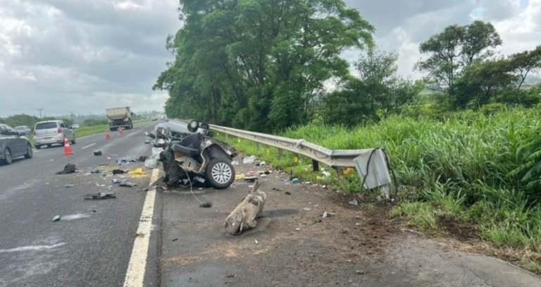 Una argentina murió en un choque en Brasil: Su auto se partió a la mitad