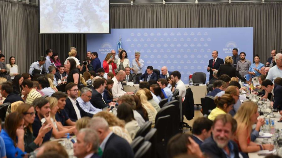 Plenario de comisiones en Diputados 20240124