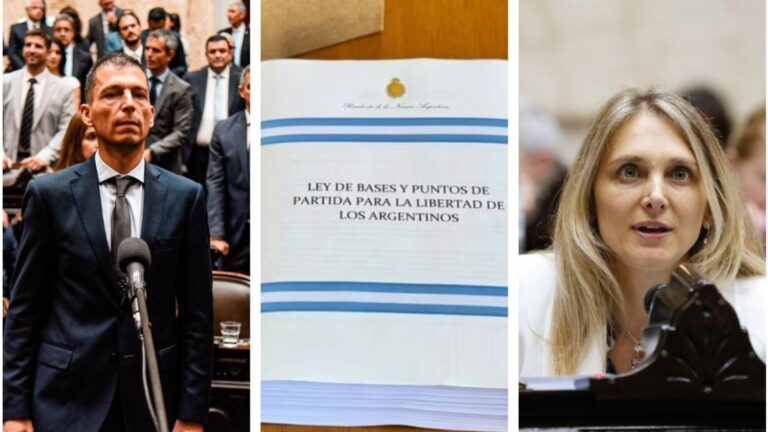 DNU y Ley Ómnibus: Fuertes disyuntivas entre diputados radicales cordobeses