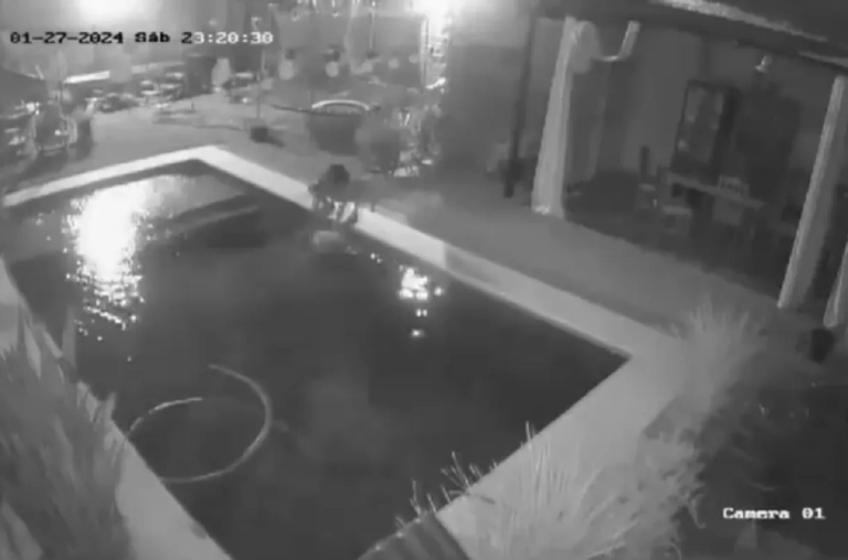 Entró a robar en una casa y para que no lo descubrieran ahogó al perrito de la familia en la pileta