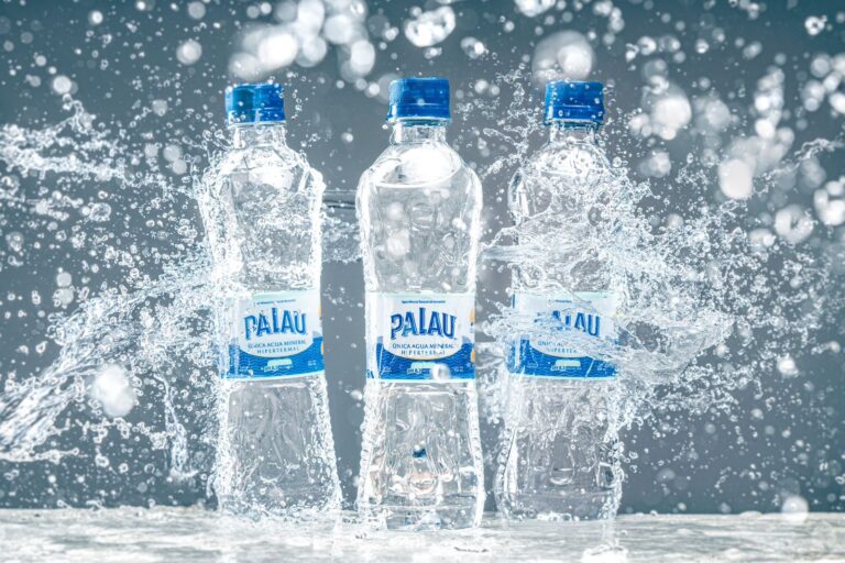 Agua Palau participó en la VII Edición de la Exposición Internacional de Importaciones de China (CIIE)