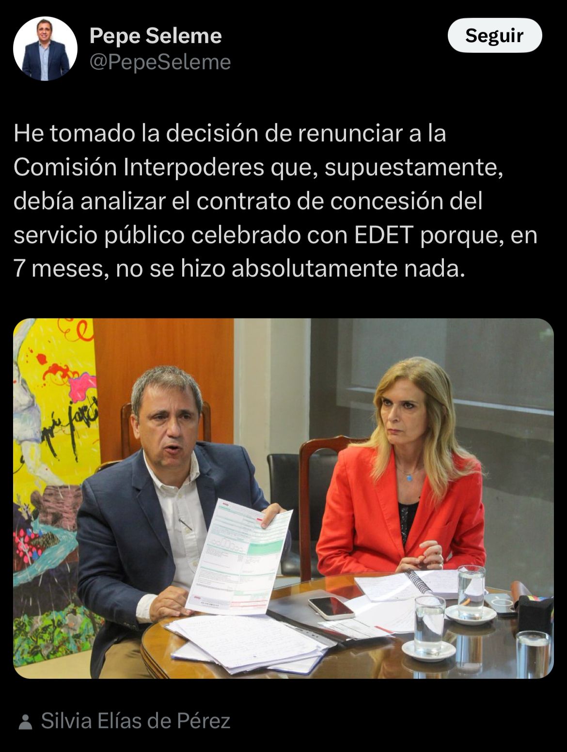 Seleme apuntó contra la comisión ya que nunca se revisó EDET