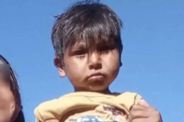 Caso Liam Flores: en medio de la desesperación, renunció la abogada Caso Liam