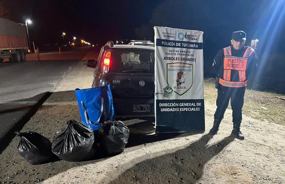 Tucuman: incautan 60 kilos de hojas de coca y mercadería ilegal en controles fronterizos