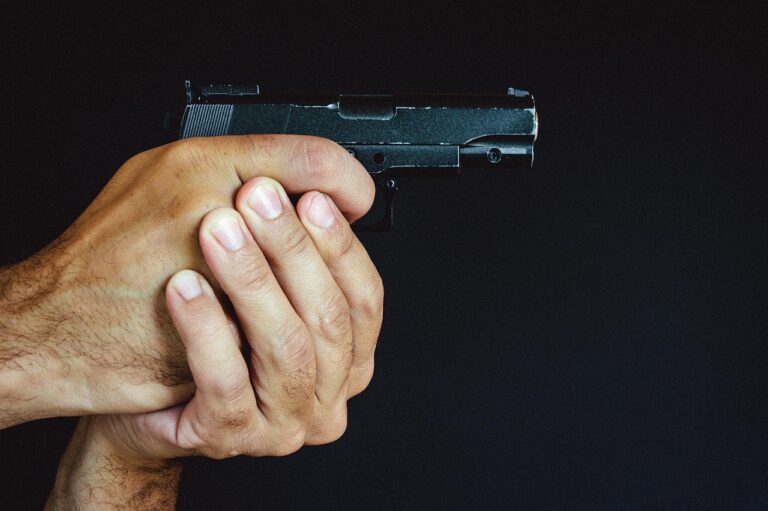Se habilita el trámite digital para acceder al permiso de tenencia de armas Tenencia de armas.