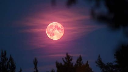 Microluna y Luna de flores: el fenómeno astronómico que iluminará el cielo este lunes luna