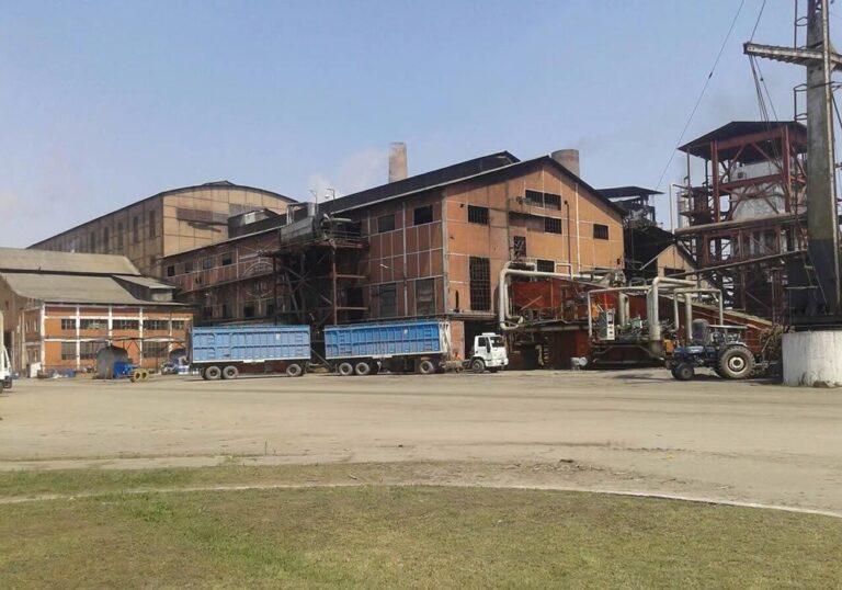 Coca-Cola Salta compra parte del ingenio Bella Vista