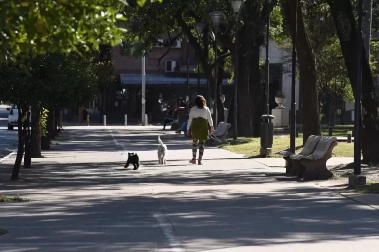 El calor no da tregua: Tucumán tendrá otra jornada con más de 30 grados Miércoles - Tucumán temperaturas clima - calor