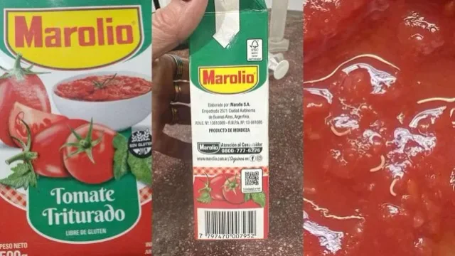 Gusanos
