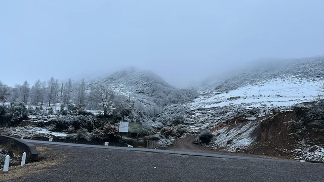 Nieve