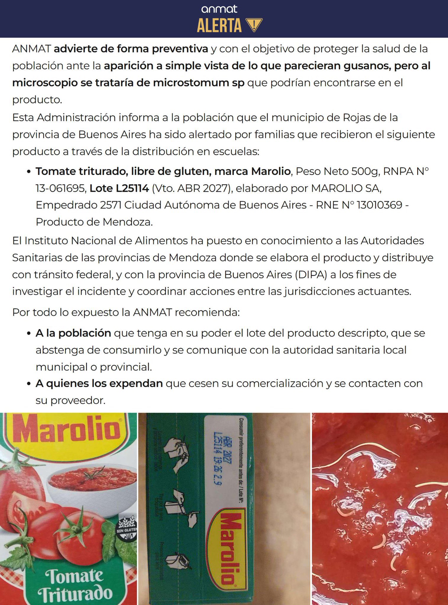 Gusanos
