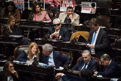 Ley - Kirchnerismo