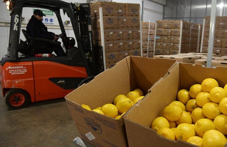 Exportaciones tucumanas: datos alentadores y diversificación en 2025