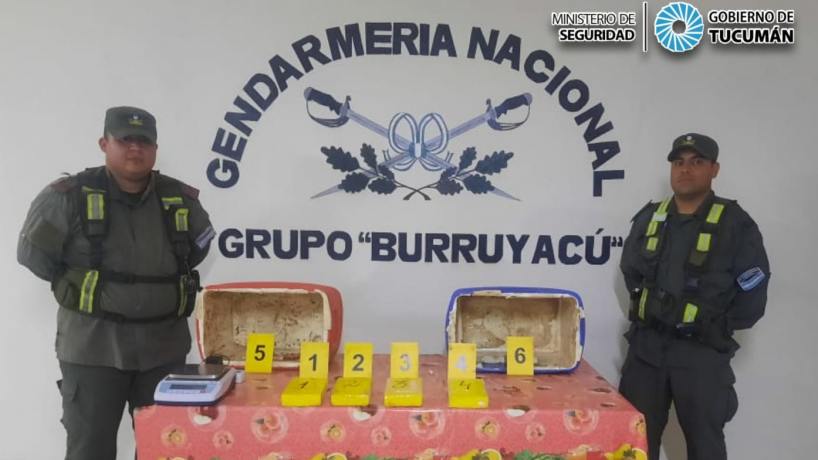 Cocaina