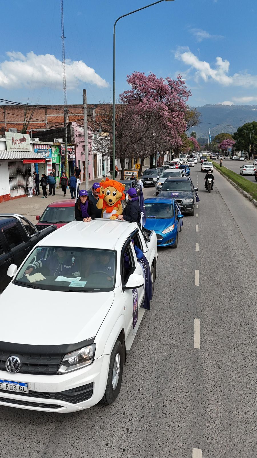 Libertad Avanza
