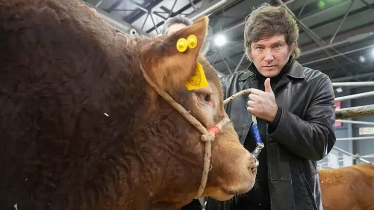 El Gobierno baja impuestos: carnes y granos sin retenciones hasta fines de Octubre El gobierno de Milei anunció retenciones cero para carnes avícolas y bovinas