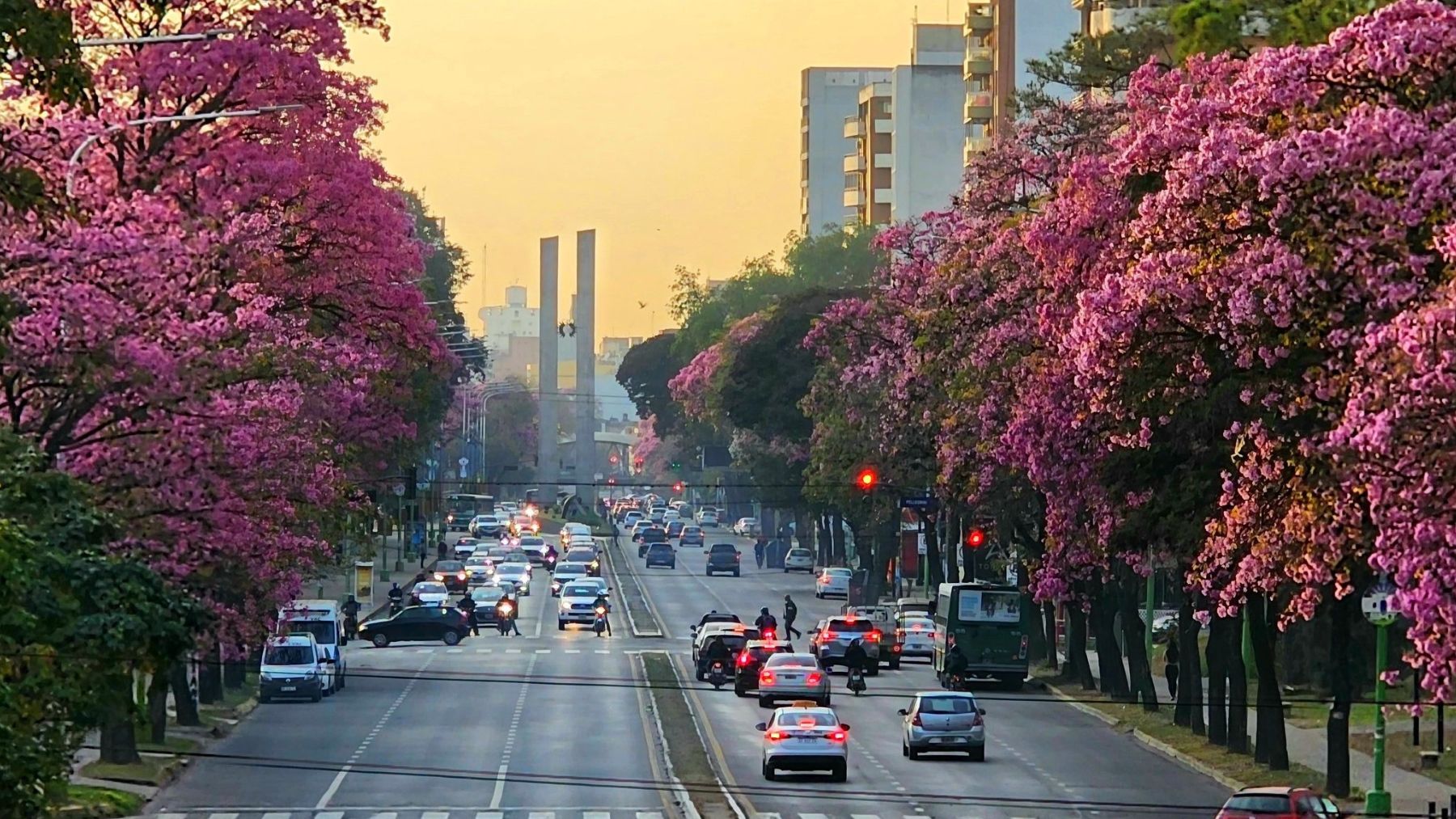Viernes - Tucumán