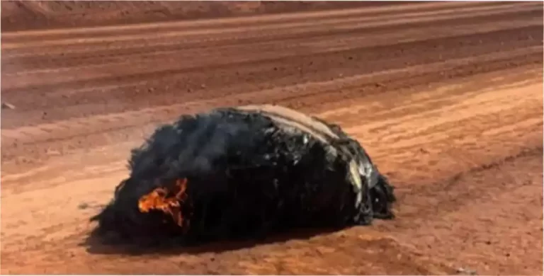 Hallan en Australia un misterioso objeto carbonizado que habría caído del cielo En australia cayó un ableto carbonizado del cielo