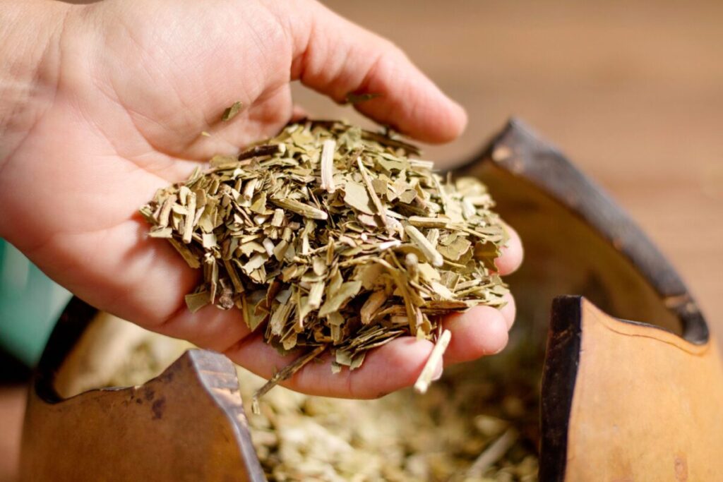 44 scaled 1 1200x800 1