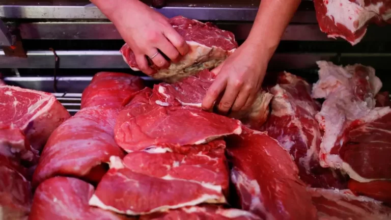 carne
