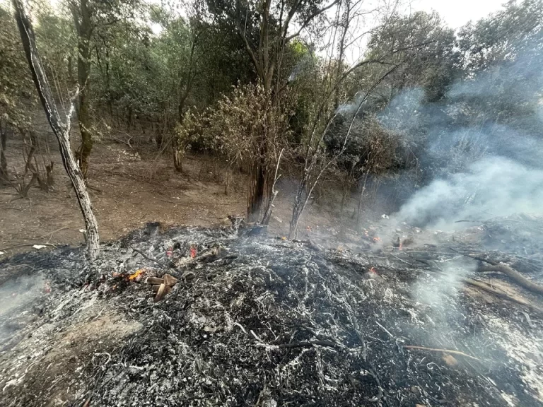 Incendio controlado: el fuego que amenazaba las Yungas reaviva el reclamo de los bomberos