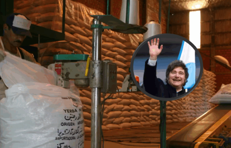 Efecto Milei: las exportaciones de yerba mate alcanzaron un récord histórico Récord histórico de exportaciones de yerba mate bajo la gestión de Milei