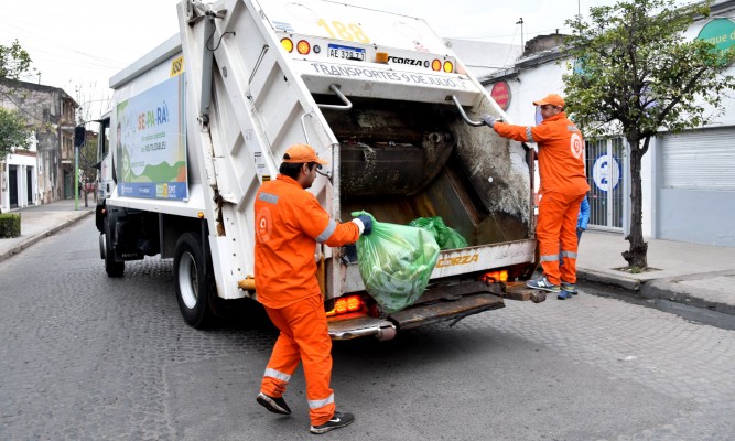 Servicios