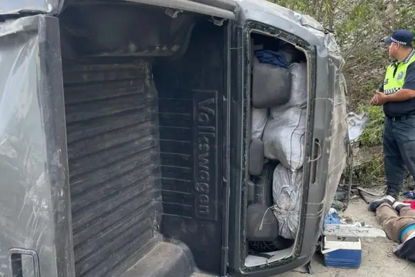 Tiroteo, persecución y droga: secuestran más de 300 kilos de marihuana en el norte tucumano 1 Tiroteo