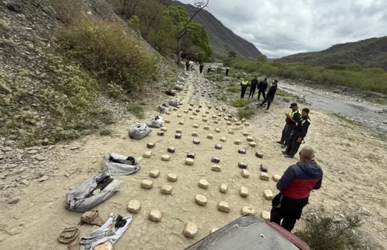 Tiroteo, persecución y droga: secuestran más de 300 kilos de marihuana en el norte tucumano 720 22