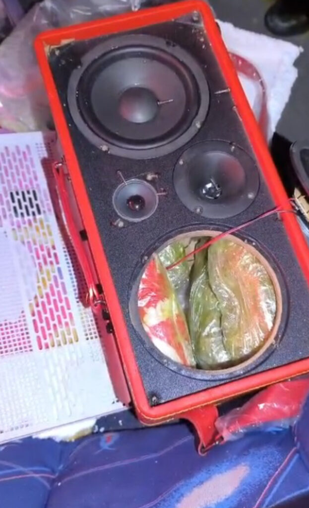 Insólito: Llevaba marihuana escondida en un parlante y pegada al cuerpo 2 IMG 5851