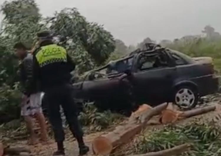 Accidente en la Ruta 65: la caída de un árbol provocó un doble siniestro y dejó un herido accidente