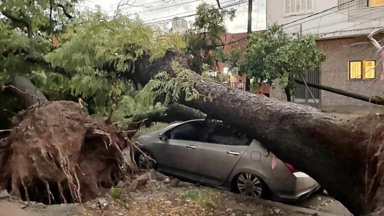 El temporal en San Miguel de Tucumán causó graves daños; arboles caídos y calles inundadas tucumán