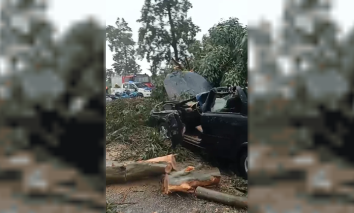 accidente