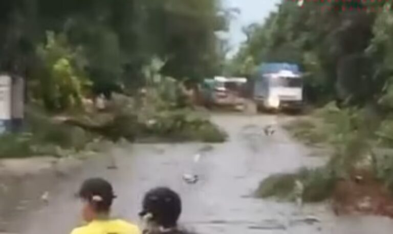 Intransitable la Ruta 304: la tormenta bloqueó el tramo entre La Boca del Tigre y El Chañar