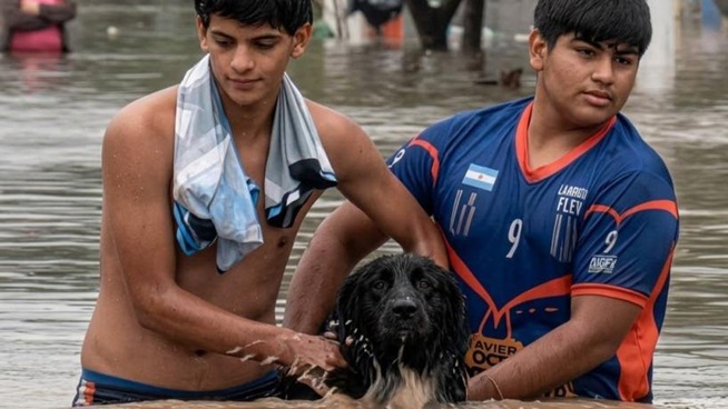 Rescatistas tucumanos salvan mascotas tras las inundaciones