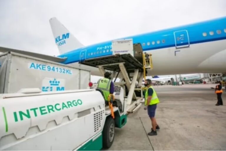 El Gobierno oficializó la privatización total de Intercargo