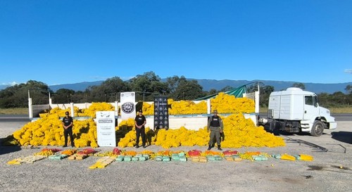 Golpe al narcotráfico en Trancas: secuestran droga oculta en un cargamento de limones