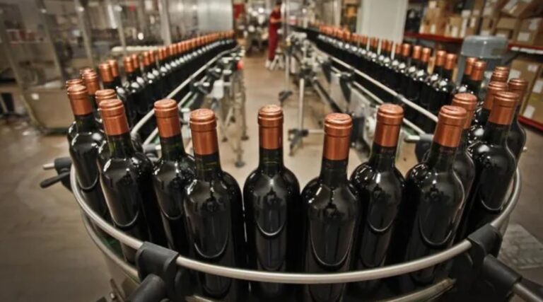 Las exportaciones de vino crecieron 14,2% en el primer semestre y consolidan la recuperación del sector