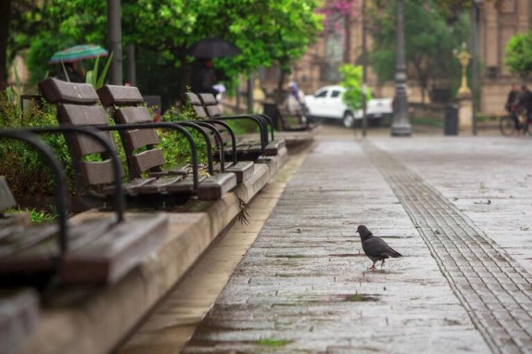 Martes frío, húmedo y con lluvias en Tucumán