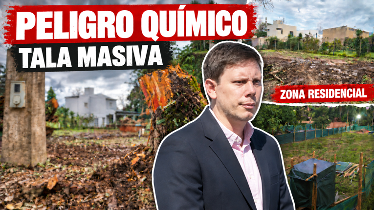 Macchiarola destruye Yerba Buena: vecinos enfurecidos por masiva tala de árboles para instalar un depósito de químicos en una zona residencial